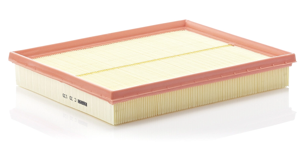 Air Filter C 30 130