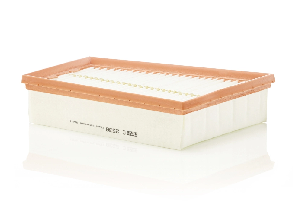 Air Filter C 2538