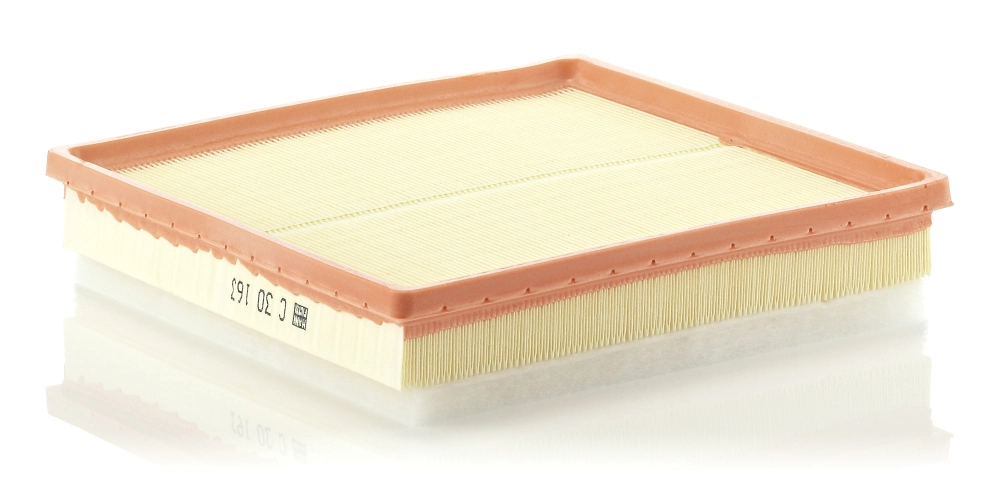 Air Filter C 30 163