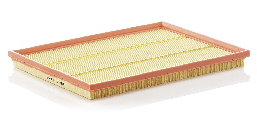 Air Filter C 3178