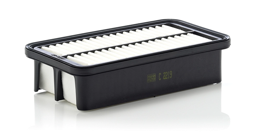 Air Filter C 2219