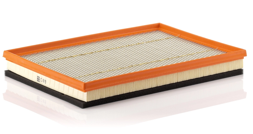 Air Filter C 4019
