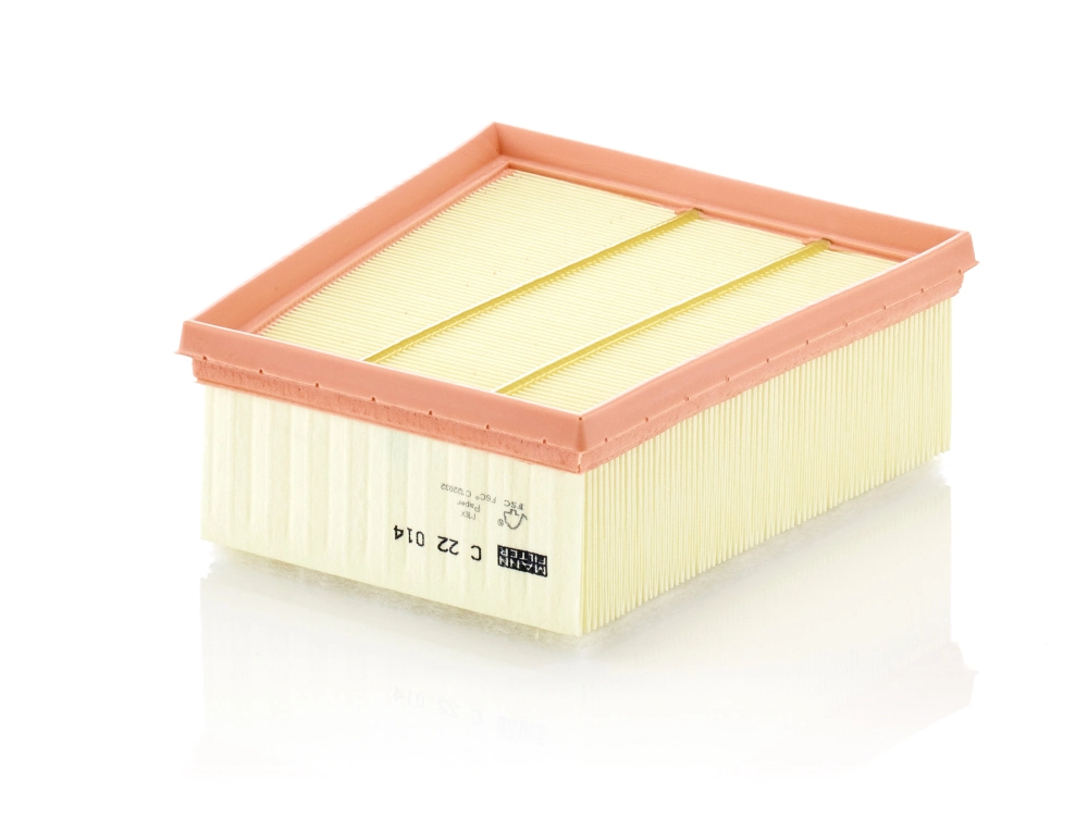 Air Filter C 22 014
