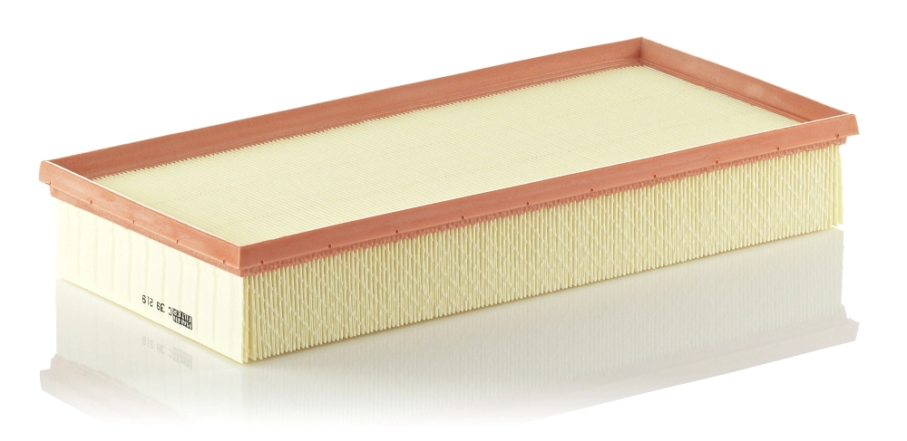 Air Filter C 39 219