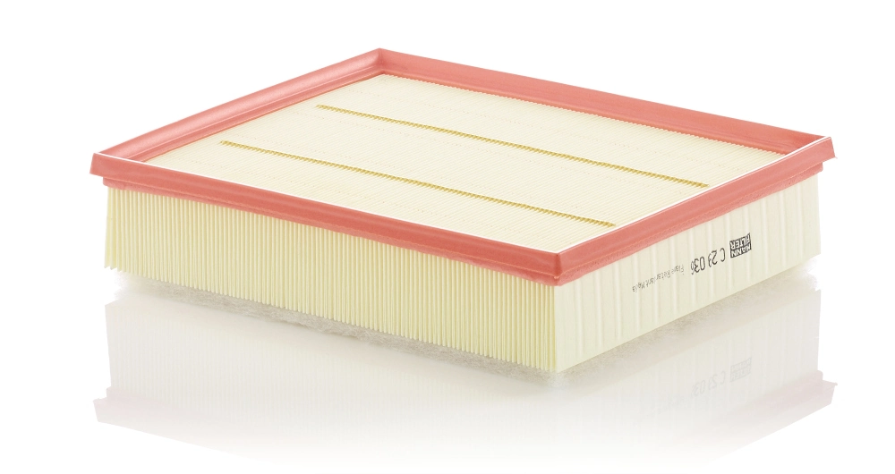 Air Filter C 29 036