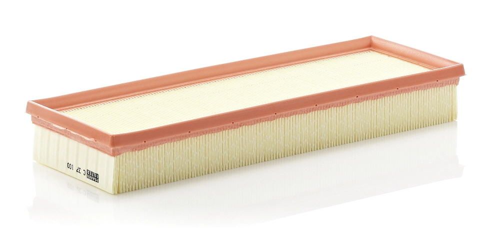 Air Filter C 37 100