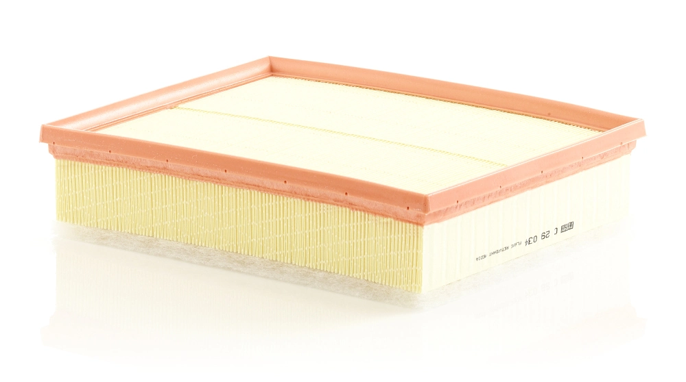 Air Filter C 29 034