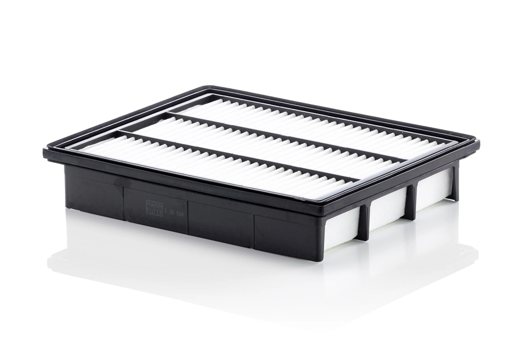 Air Filter C 30 024