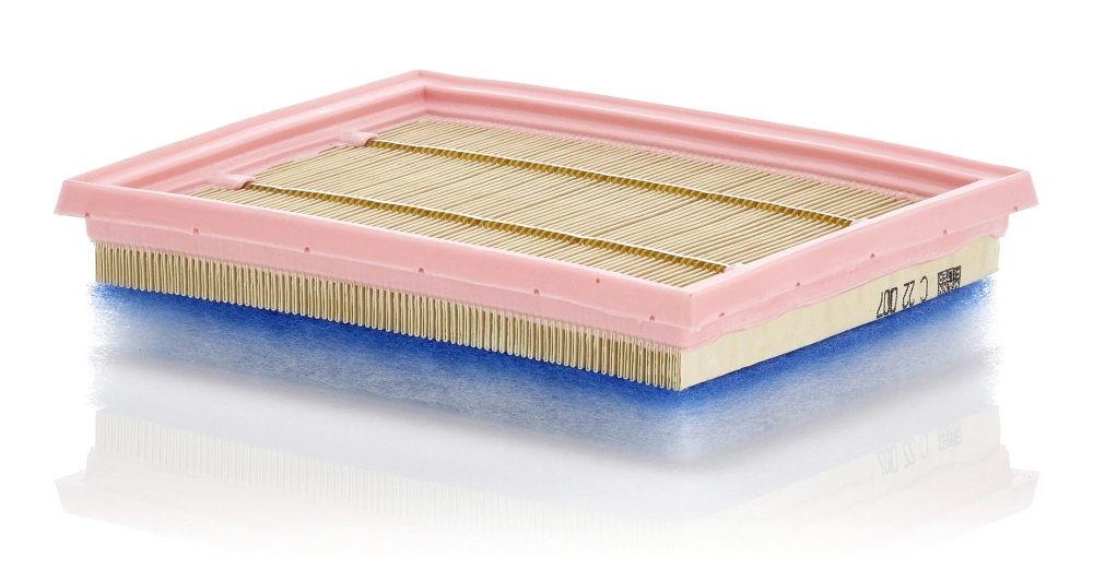 Air Filter C 22 007