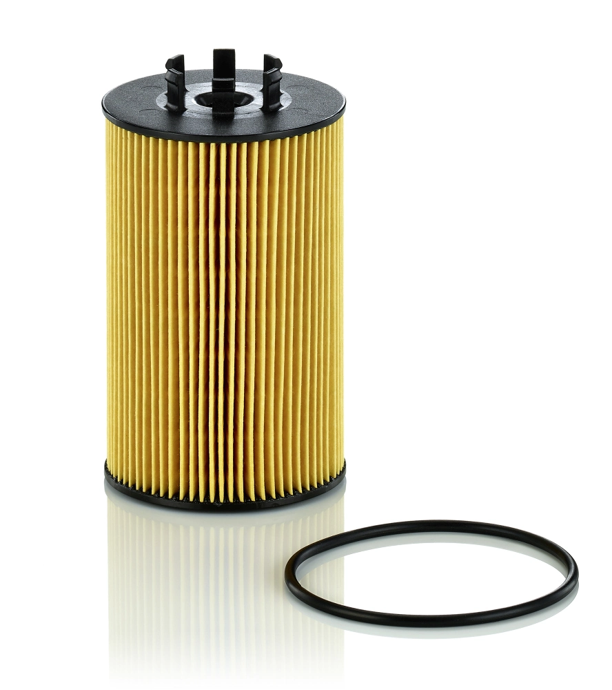 Oil Filter HU 9007 z