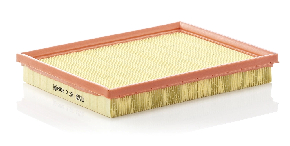 Air Filter C 2569