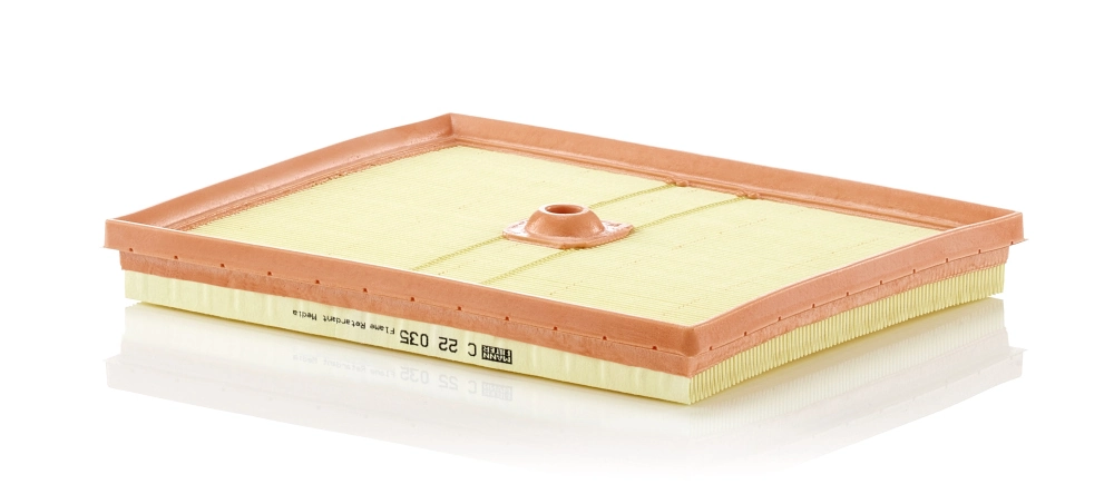Air Filter C 22 035