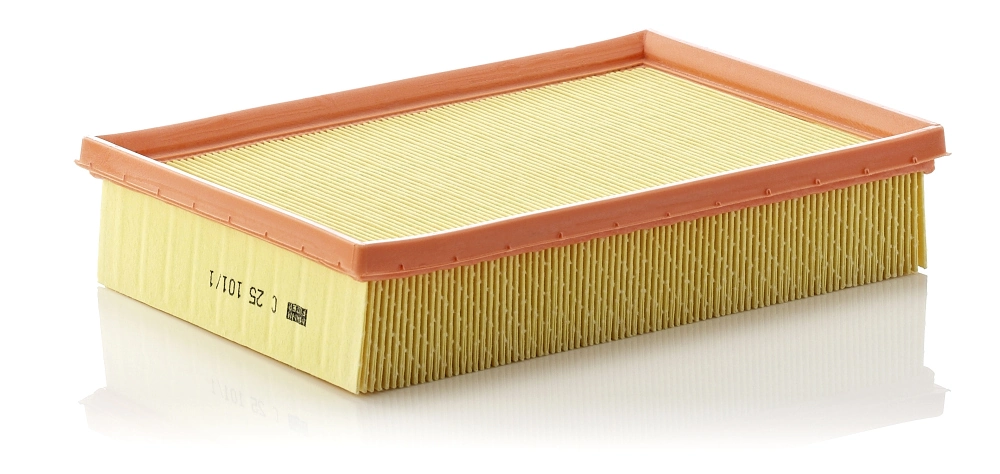 Air Filter C 25 101/1
