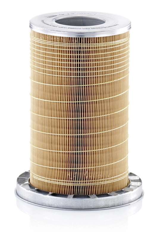 Air Filter C 19 384/1