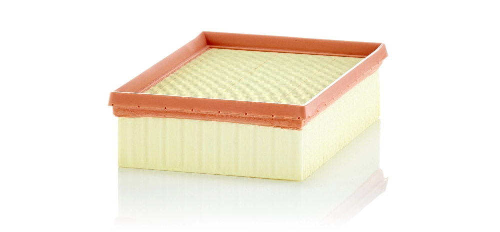 Air Filter C 24 012/1