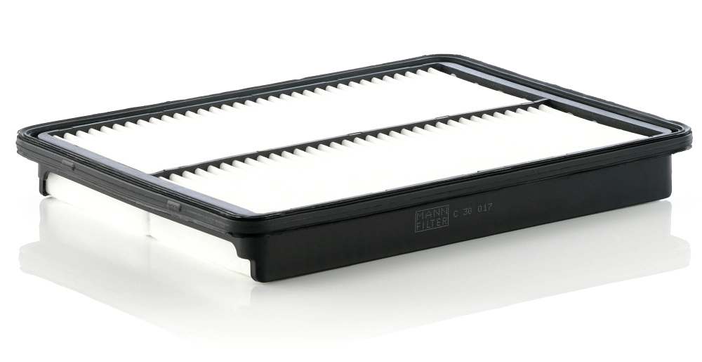 Air Filter C 30 017