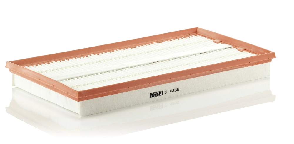 Air Filter C 4265