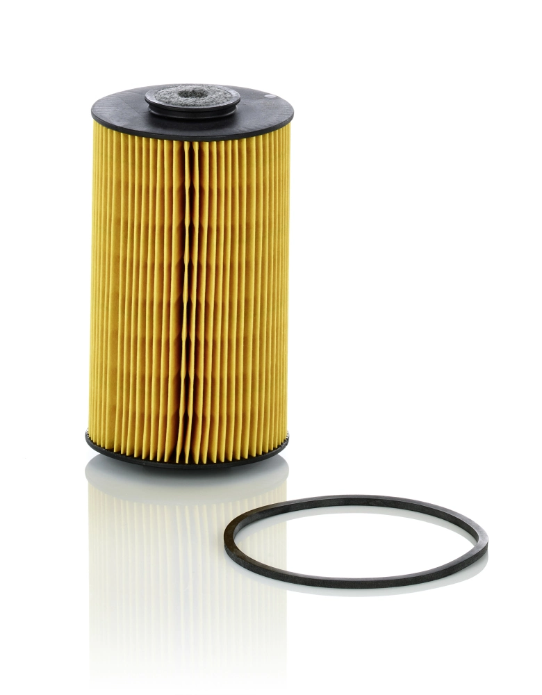 Fuel Filter P 811 x