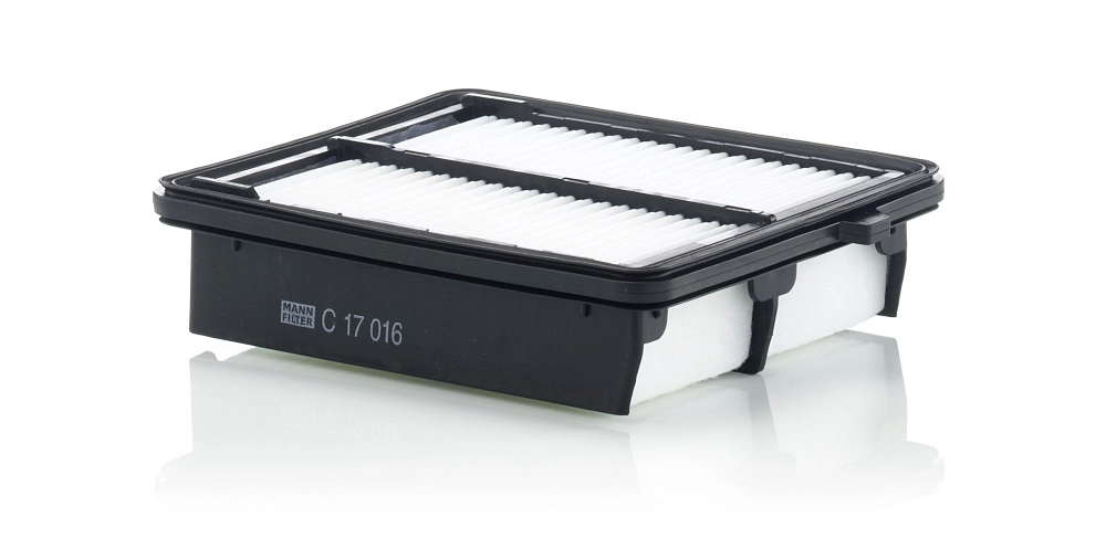Air Filter C 17 016