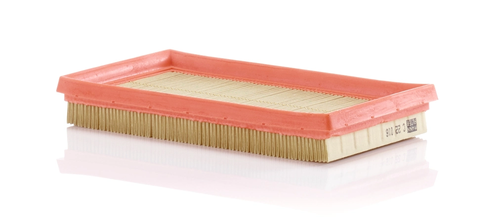Air Filter C 22 016