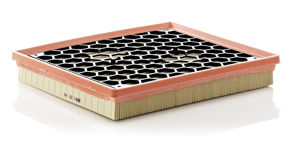 Air Filter C 29 145
