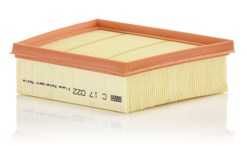 Air Filter C 17 022