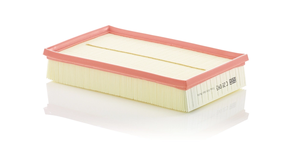 Air Filter C 28 043