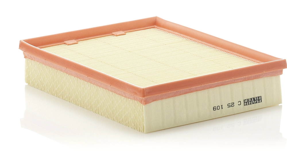 Air Filter C 25 109
