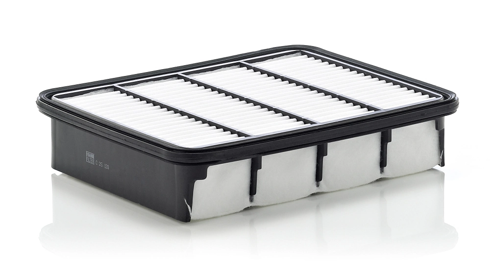 Air Filter C 25 128