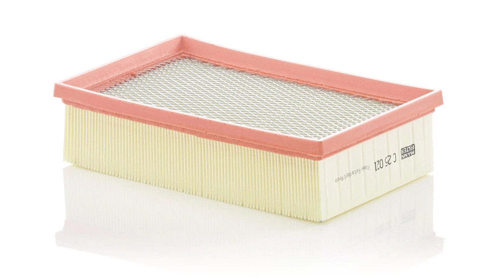 Air Filter C 25 021