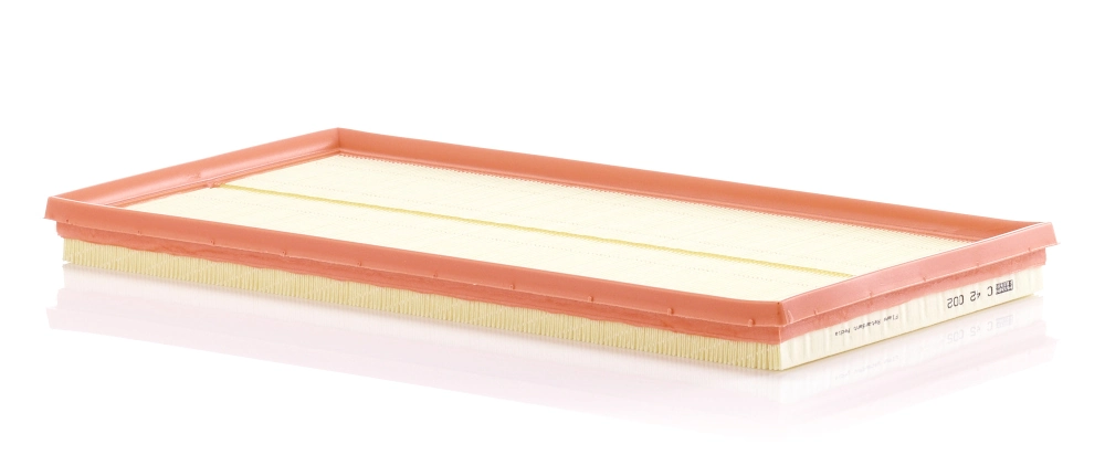 Air Filter C 42 002