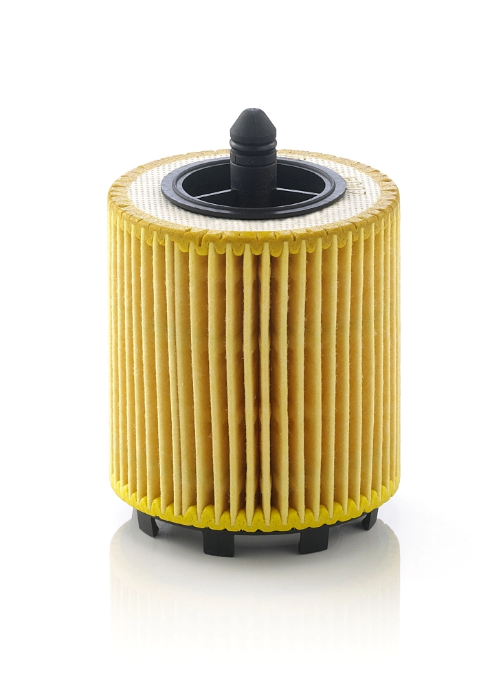 Oil Filter HU 6007 x