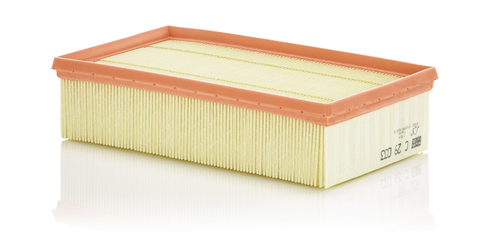 Air Filter C 29 033