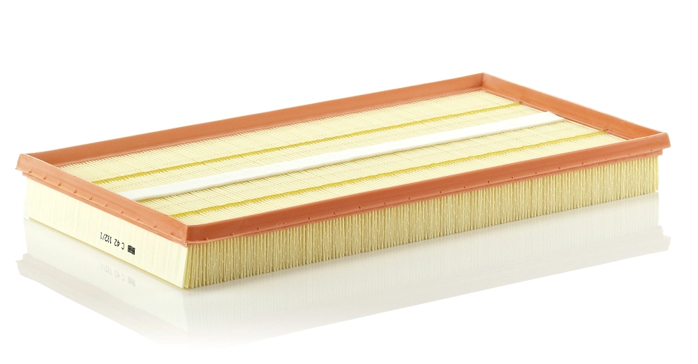 Air Filter C 42 192/1