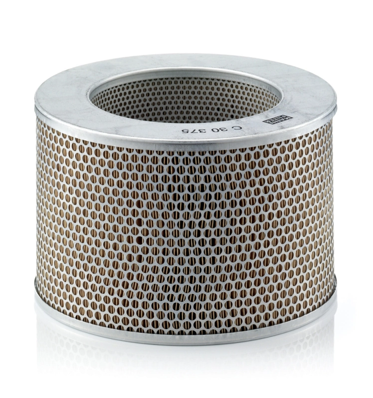 Air Filter C 30 375