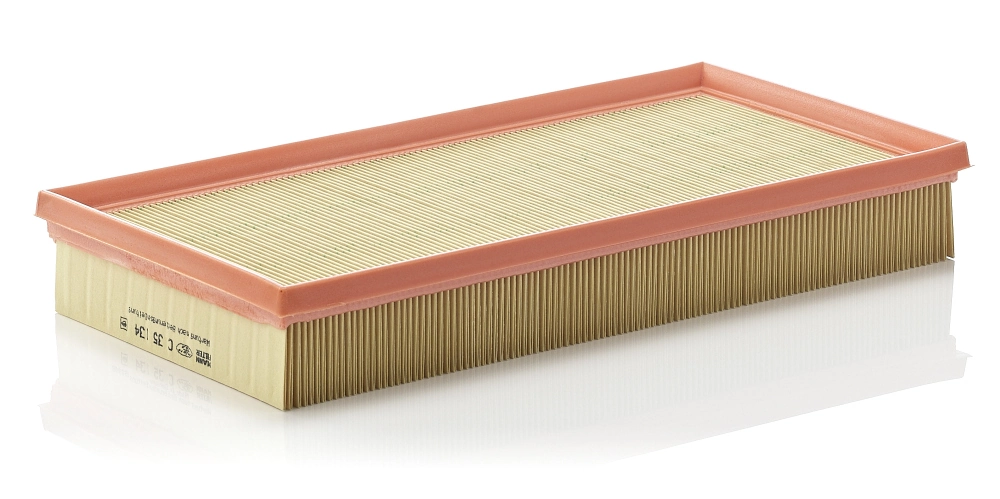 Air Filter C 35 134