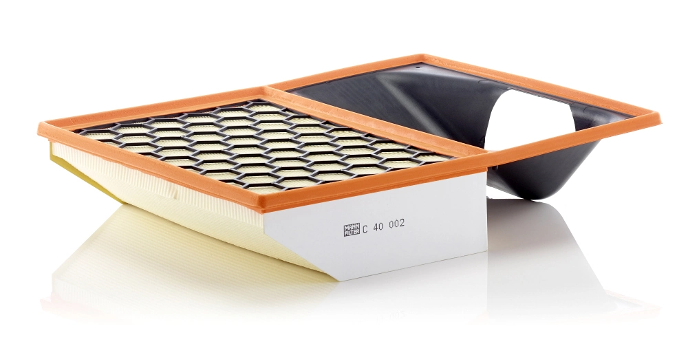 Air Filter C 40 002