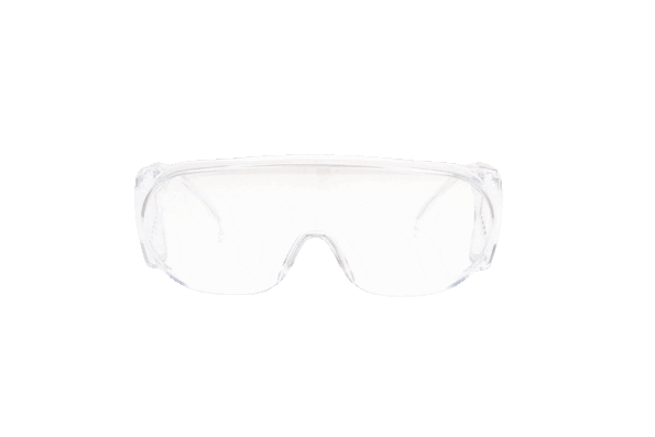 Safety Goggles 310.0110