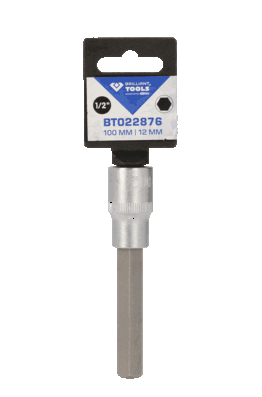 Socket Wrench Insert BT022876