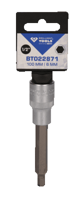 Socket Wrench Insert BT022871