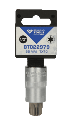 Socket Wrench Insert BT022979