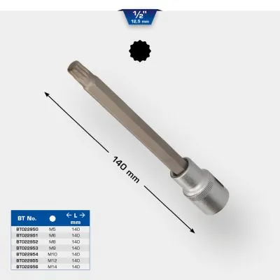 Socket Wrench Insert BT022956