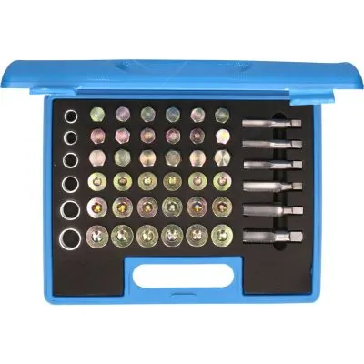 Repair Kit, oil drain plug thread BT711300