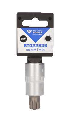 Socket Wrench Insert BT022936