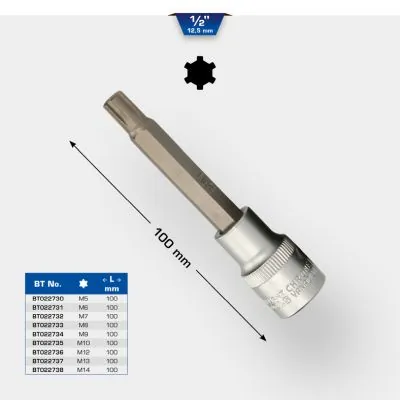 Socket Wrench Insert BT022738