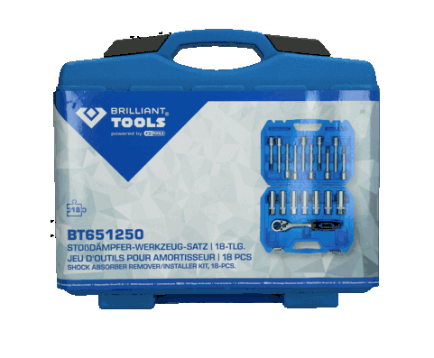 KS TOOLS BT651250 Tool Set, shock absorber piston rod