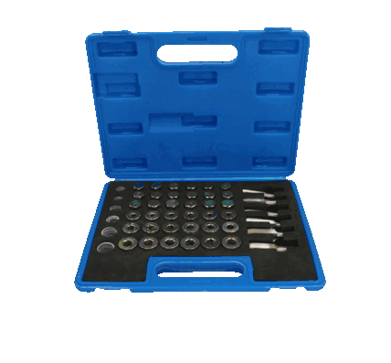 Repair Kit, oil drain plug thread BT711300