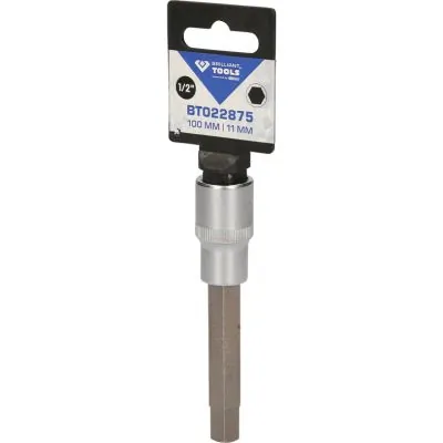 Socket Wrench Insert BT022875