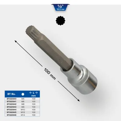 Socket Wrench Insert BT022940