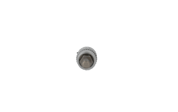Socket Wrench Insert BT020821